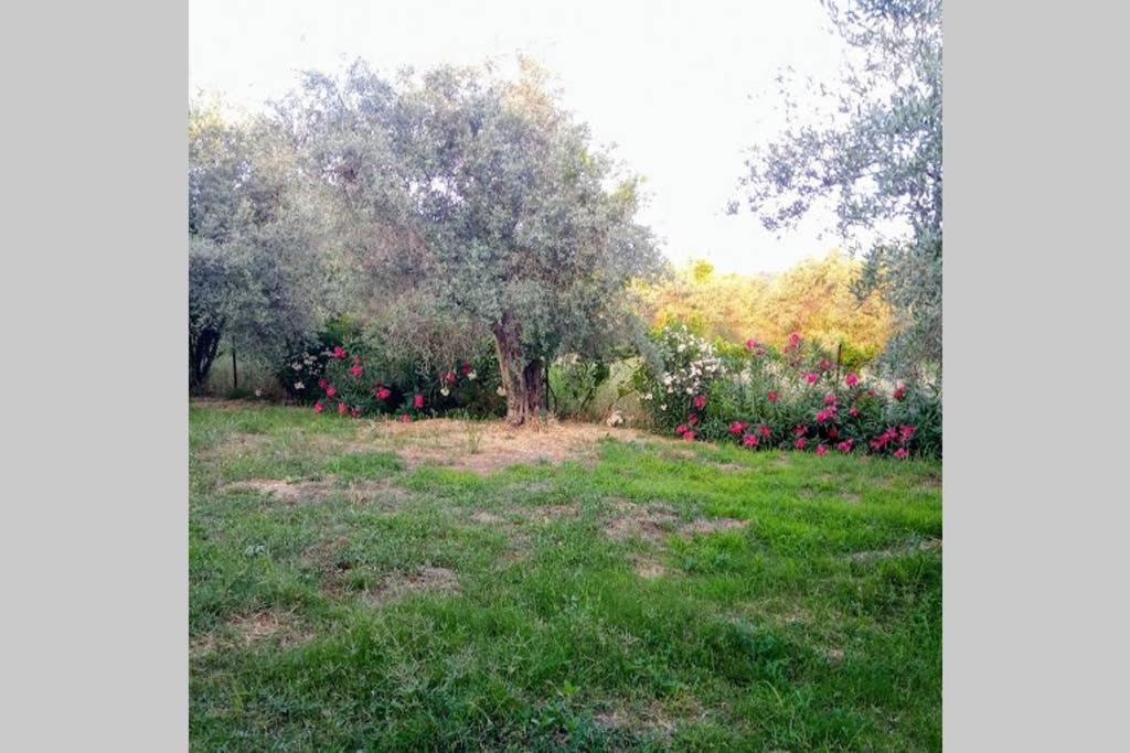 Irinis Cottage Kala Nera Esterno foto