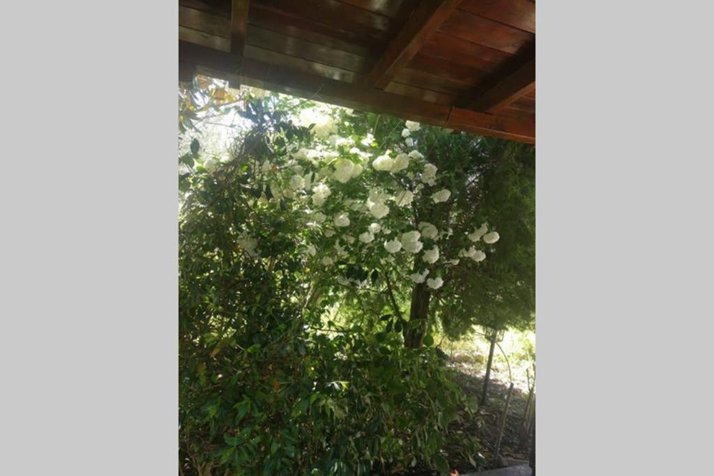 Irinis Cottage Kala Nera Esterno foto